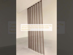 Ecrã de mosca de cadeia de alumínio personalizável A solução definitiva para os seus requisitos de tela de mosca de cadeia