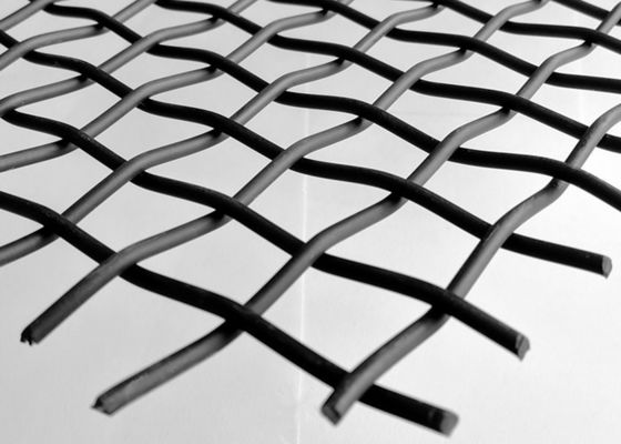 fio de alumínio Mesh Facade Cladding do friso 1×3m dobro de 10mm